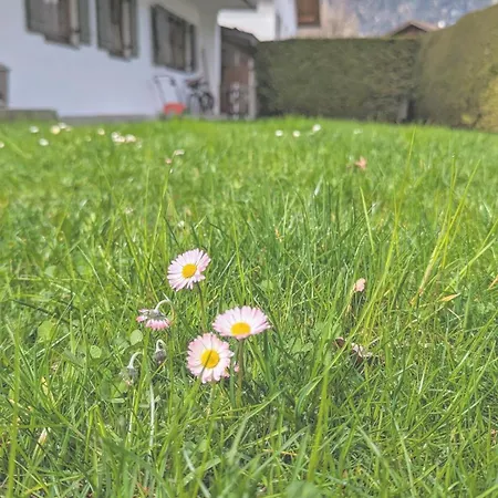 Διαμέρισμα Calm Gap